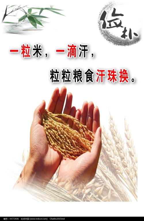 武蔵野学院大学本科学位证